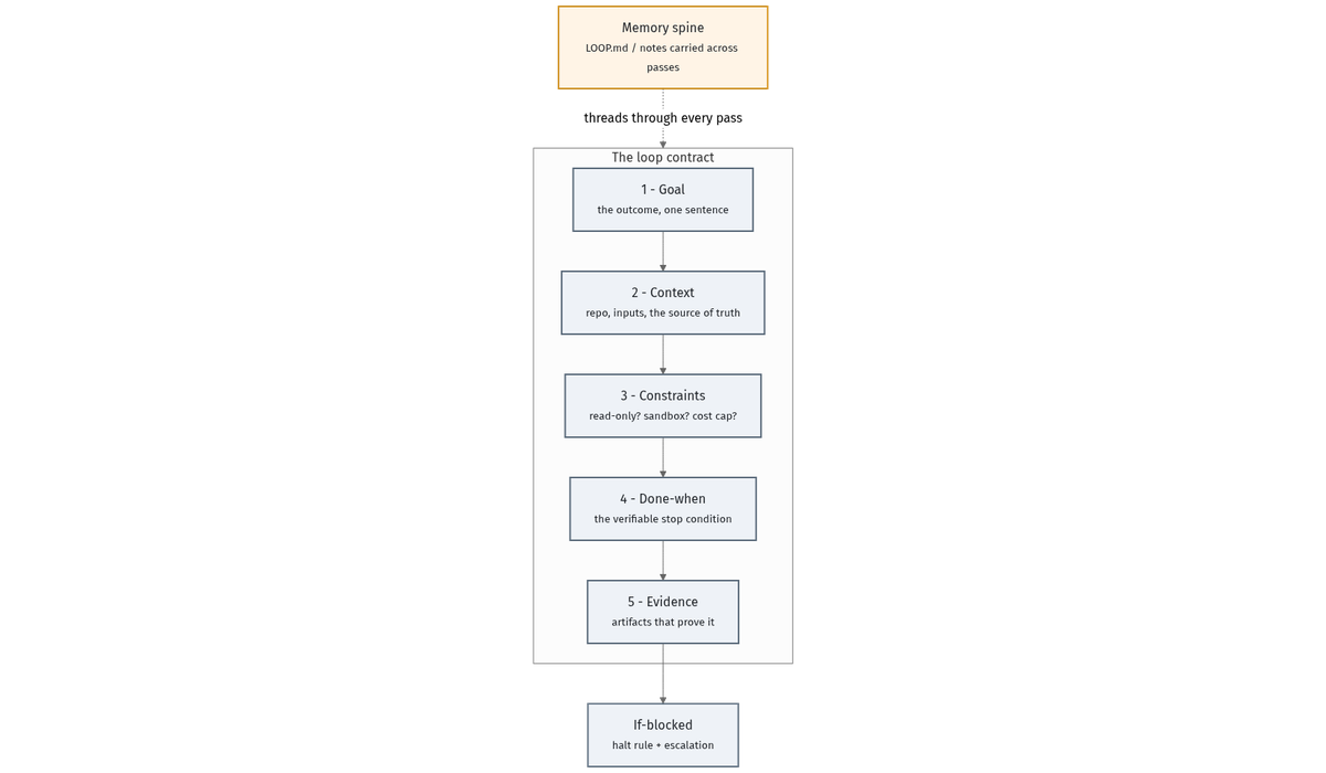 Anatomy of the loop contract: its fields and the memory spine